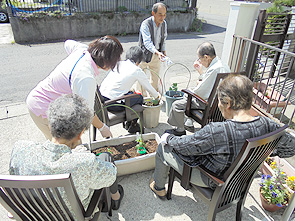 プランター菜園